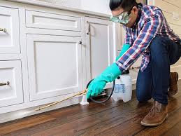 Best Real Estate Pest Inspections  in Berthoud, CO